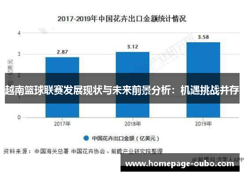 越南篮球联赛发展现状与未来前景分析：机遇挑战并存